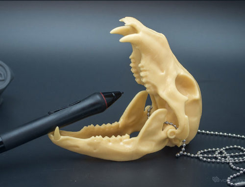 Bear skull replica scale model with a jointed Jaw