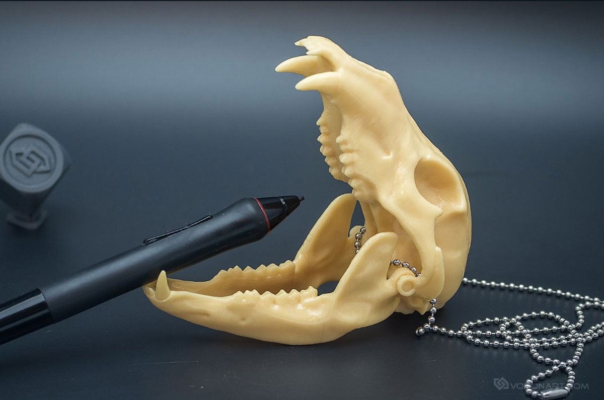 Grizzly Bear Skull replica scale model with a jointed Jaw